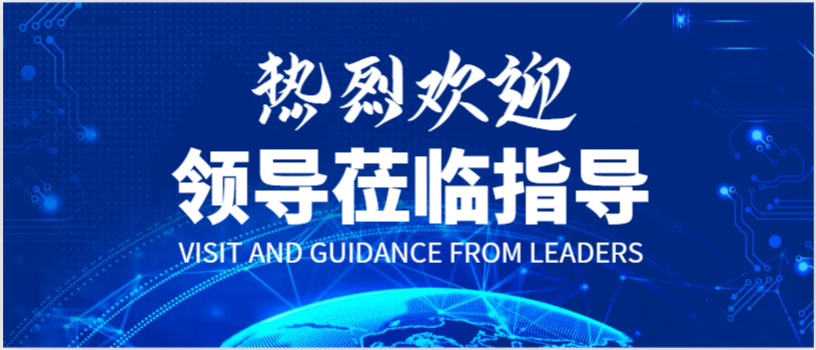 供电公司领导莅临我司检查指导工作